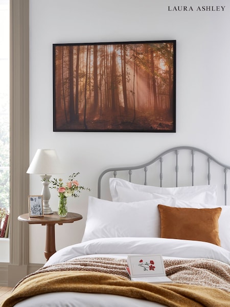 Brown Sunlit Trees Black Medium Frame (G81860) | £106