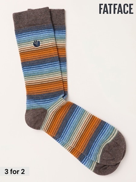 Brown - Regular Fatface Striped Socks
