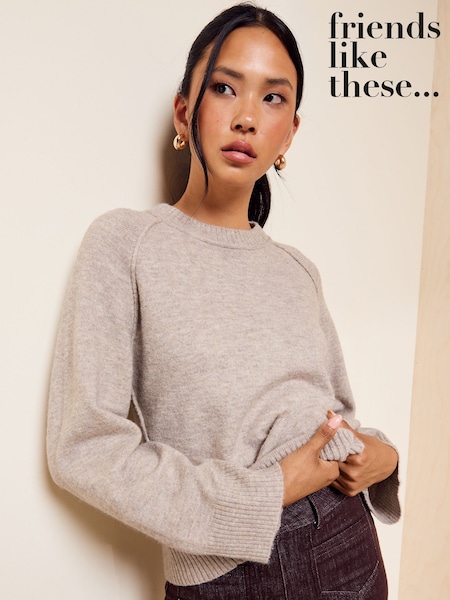 Neutral - Friends Like These Crew Neck Seam Detail Jumper