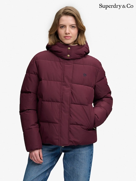 Purple - Superdry Premium Hooded Puffer Jacket