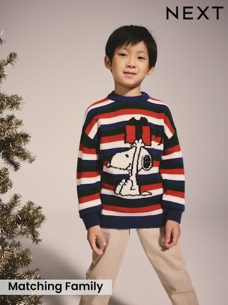 Multi Snoopy - Christmas License Jumper (3-16yrs)