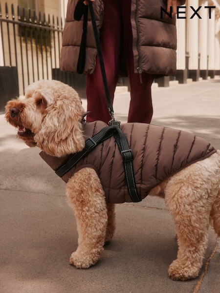 Chocolate Brown - Padded Pet Harness Coat