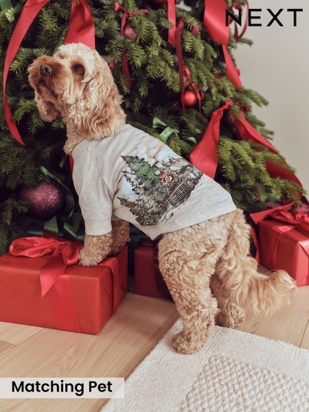 Grey Santa Express - Matching Family Christmas Pet Pyjamas