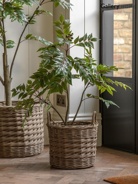 Gallery Home Green Small Faux Potted Chinese Olive Tree (H14629) | £36