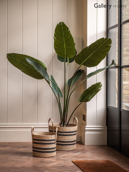 Gallery Home Green Faux Potted Travellers Palm Tree 5ft (H14631) | £108