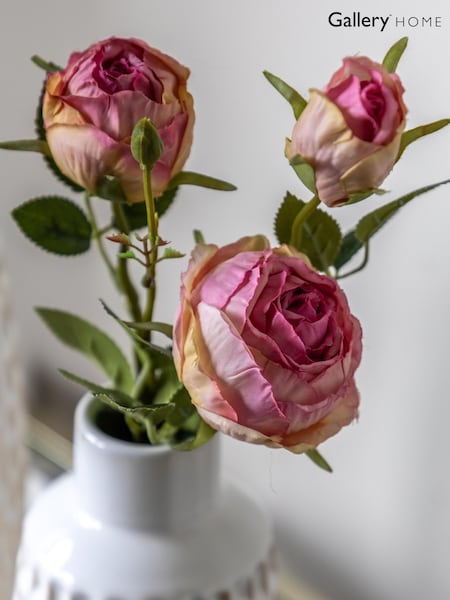 Gallery Home 6 Pack Pink Faux Stem Vintage Roses (H14638) | £28