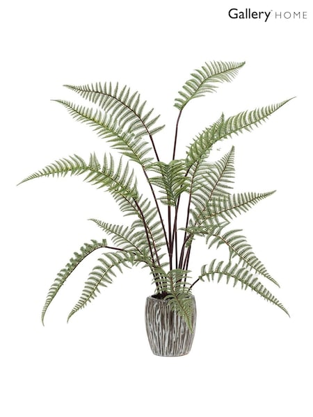 Gallery Home Grey Faux Tall Fern in Textured Ceramic Pot (H14639) | £36