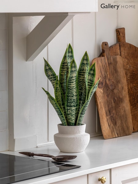 Gallery Home Natural Faux Snake Plant in Ceramic Pot (H14640) | £64