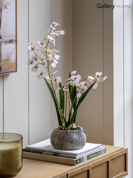 Gallery Home White Faux Orchid in Low Ceramic Pot (H14644) | £52