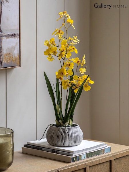 Gallery Home Yellow Faux Orchid in Low Ceramic Pot (H14658) | £52