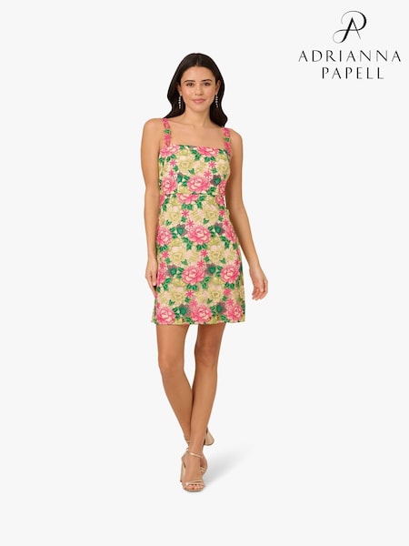 Adrianna Papell Pink Floral Embroidery Short Dress (H21559) | £169