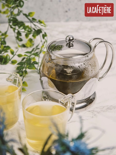 La Cafetiere Silver 2-Cup Small Loose-Leaf Glass Teapot with Infuser (H22335) | £29