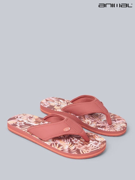 Animal Pink Womens Swish Flip Flops (H23262) | £29