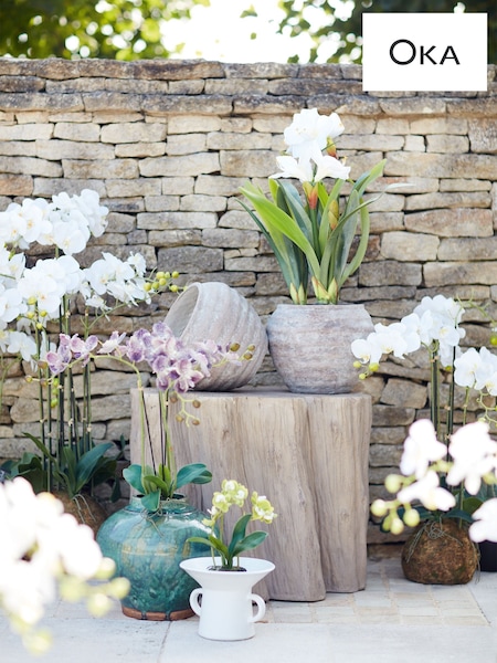 Oka White Large Faux Planted Phalaenopsis Orchid (H23583) | £295