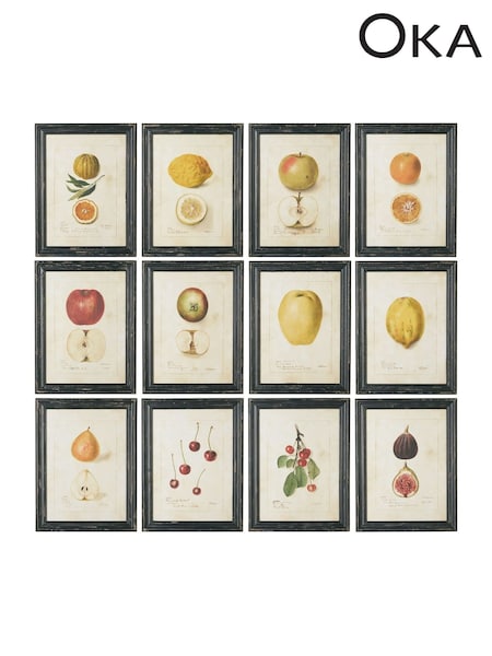 Oka Set of 12 Cream Anatomical Fruit Framed Prints (H23600) | £425