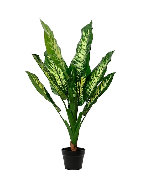 Decoris Artificial Diefenbachia Plant in Pot (H27236) | £40