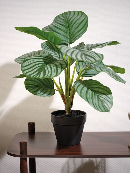 Decoris Artificial Plant in Pot (H27242) | £24