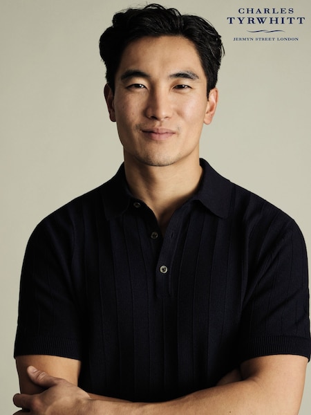 Charles Tyrwhitt Blue Stripe Short Sleeve Button Neck 100% Cotton Polo shirt (H27840) | £70