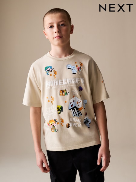 Stone Placement Single Minecraft T-Shirt (3-16yrs) (H35600) | £14 - £17