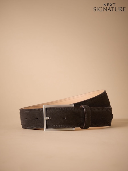 Brown Signature Suede Belt (H39996) | £28