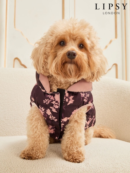 Lipsy Burgundy Floral Reversible Dog Puffer Jacket (H42098) | £22