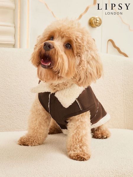 Lipsy Chocolate Brown Dog Aviator Jacket (H42099) | £18