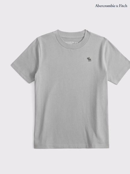 Abercrombie & Fitch Essential Icon Crew T-Shirt (H44795) | £13