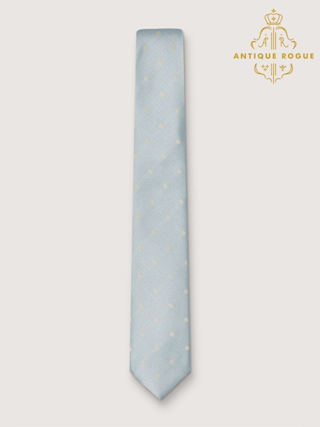 Antique Rogue Blue Polka Dot Tie (H47537) | £20