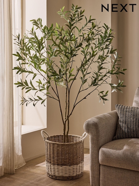 Green 6ft Artificial Olive Tree (H48261) | £145
