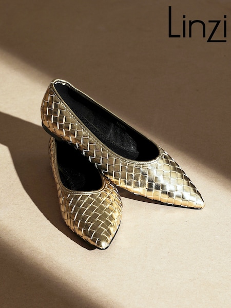 Linzi Gold Talina Woven Pointed Toe Ballet Flats (H52437) | £35