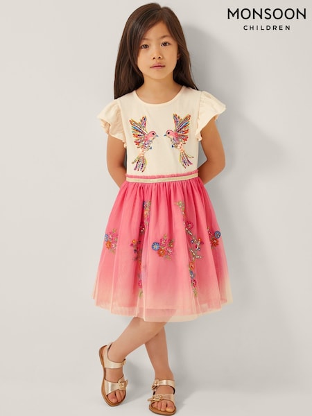 Monsoon Pink Ombre Embellished Hummingbird Print Disco Dress (H59905) | £38 - £43