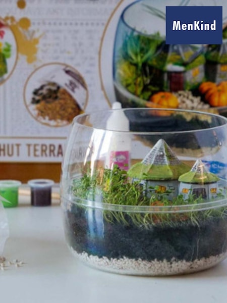MenKind Clear Hagrids Hut Terrarium (H63110) | £30