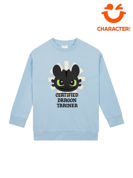 Character Blue How To Train Your Dragon Toothless Sweatshirt (H64523) | £18