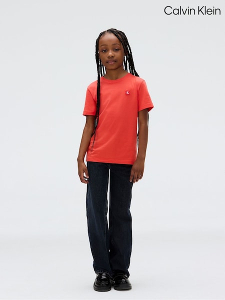 Calvin Klein Red Mono Mini Badge Reg T-Shirt (H67000) | £18 - £23