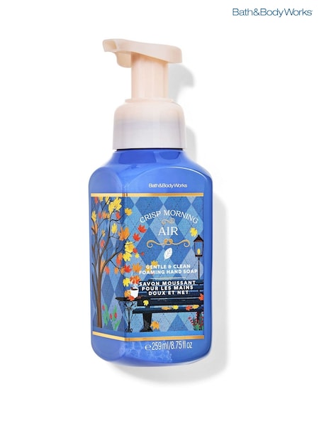 Bath & Body Works Crisp Morning Air Gentle & Clean Foaming Hand Soap (H70435) | £12