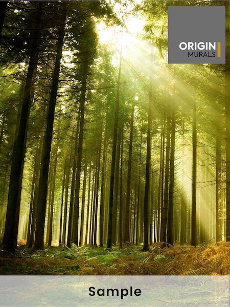 Origin Murals Evergreen Spruce Forest Matte Non Woven A3 Mural Sample (H76803) | £1