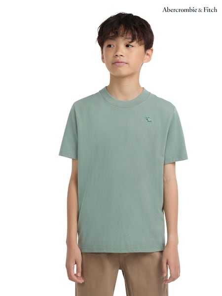 Abercrombie & Fitch Green Essentials Logo Short Sleeve T-Shirt (H76993) | £12