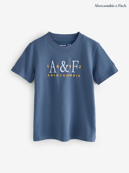 Abercrombie & Fitch Signature Logo Short Sleeve T-Shirt (H77000) | £18