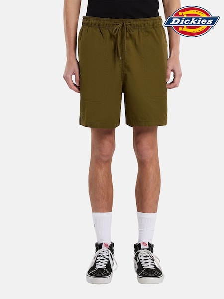 Dickies Green Pelican Shorts (H82592) | £50