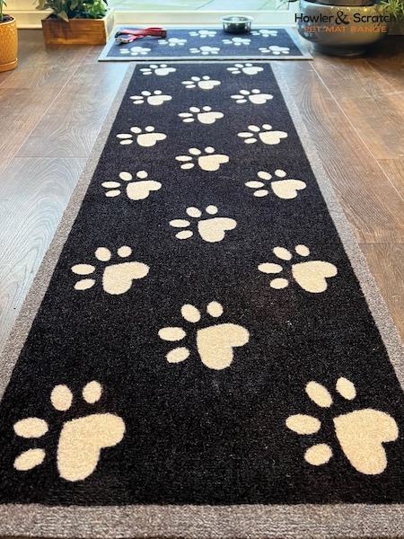 Howler & Scratch Navy Big Paw 2 Runner (H85337) | £37