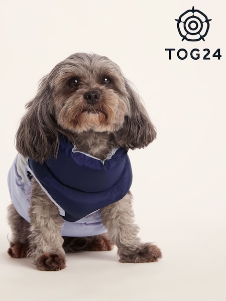 Tog 24 Blue Fetch Padded Dog Coat (H85779) | £36