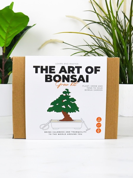 Gift Republic White The Art Of Bonsai Grow Kit (H88016) | £25