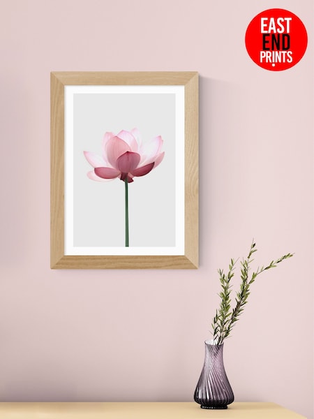 East End Prints Oak Lotus by Sisi and Seb Wall Art (H89027) | £50 - £130