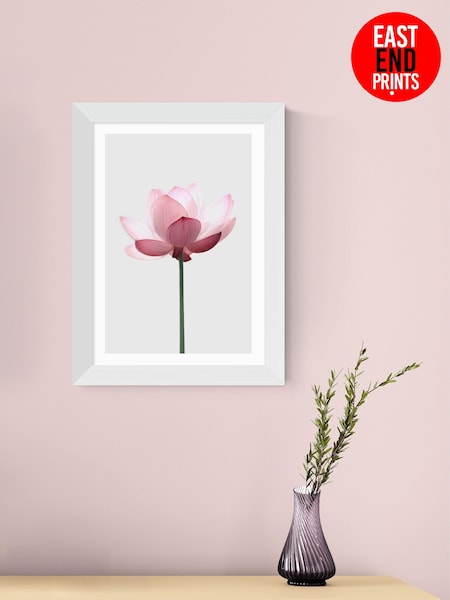 East End Prints White Lotus by Sisi and Seb Wall Art (H89034) | £50 - £130
