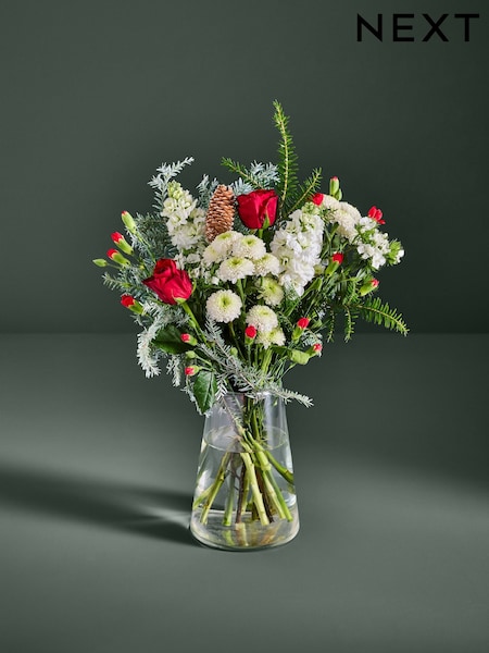 Red/White Chrysanthemum and Dianthus Fresh Flower Letterbox Bouquet (H91854) | £28