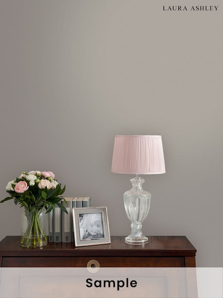 Pale French Grey Matt Emulsion Peel & Stick Paint Sample (H98423) | £1