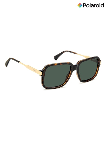 Polaroid 6220/S/X Square Brown Sunglasses (K86767) | £69