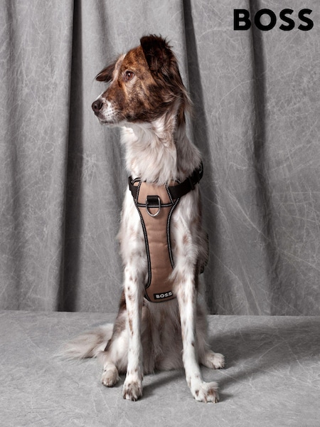 BOSS Brown Dog Harness (K87522) | £75