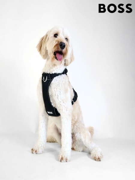 BOSS Black Dog Harness (K87529) | £75