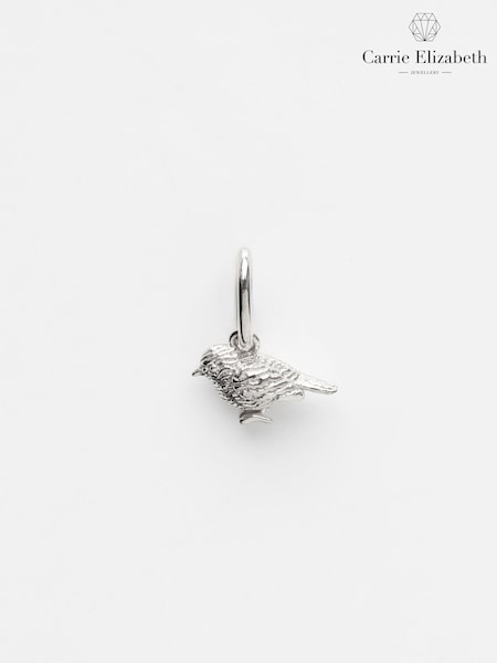 Silver Tone - Carrie Elizabeth Robin Charm